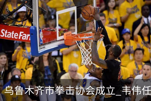 乌鲁木齐市拳击协会成立 韦伟任会长