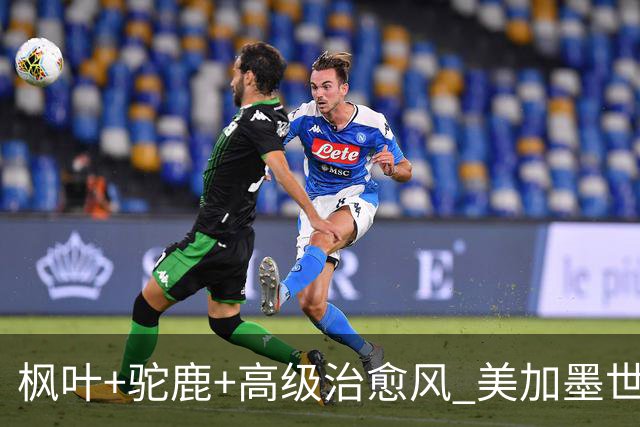 枫叶+驼鹿+高级治愈风 美加墨世界杯加拿大赛区开幕
